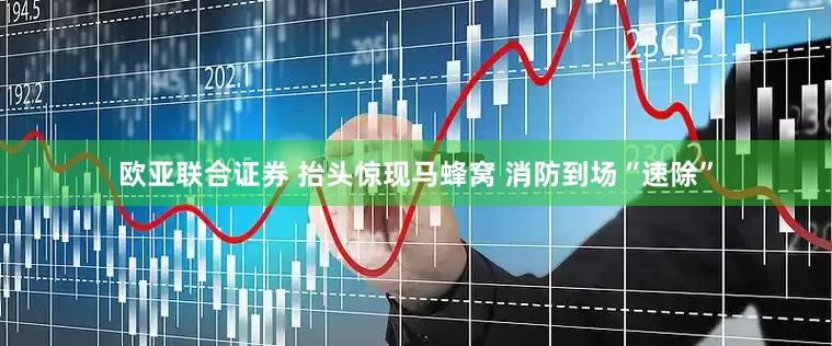 欧亚联合证券 抬头惊现马蜂窝 消防到场“速除”